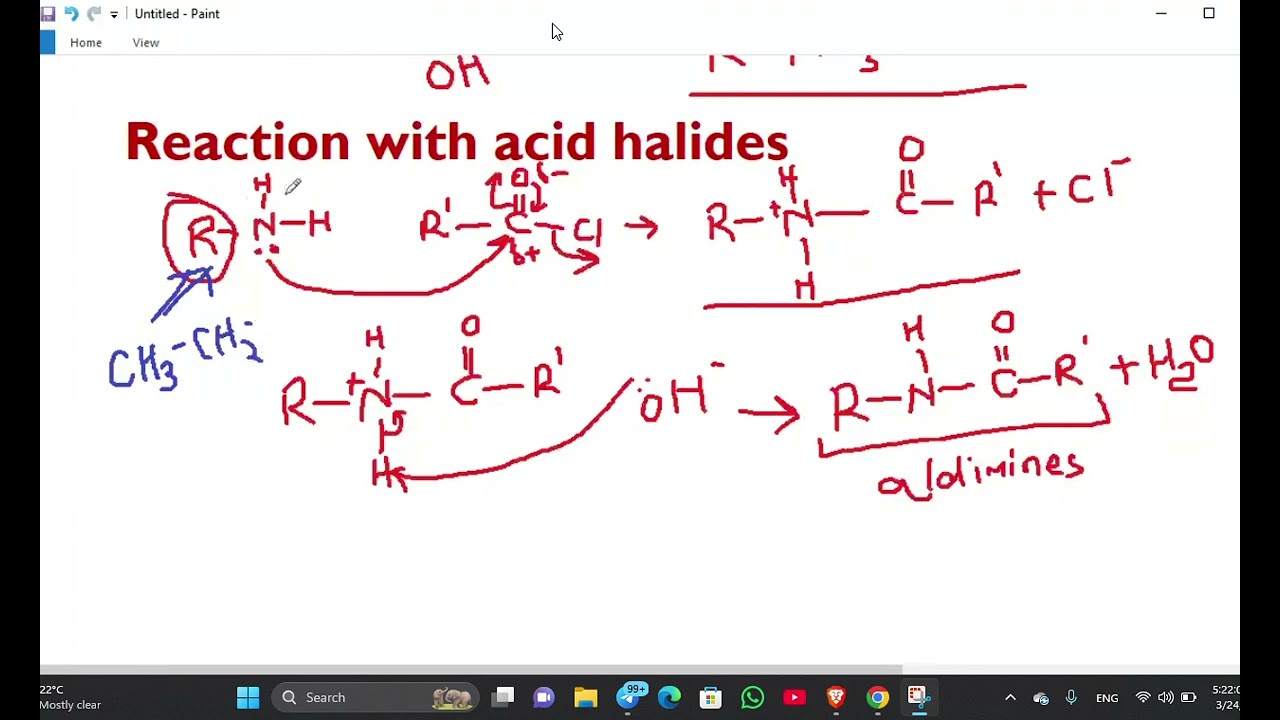 amines 2 online class
