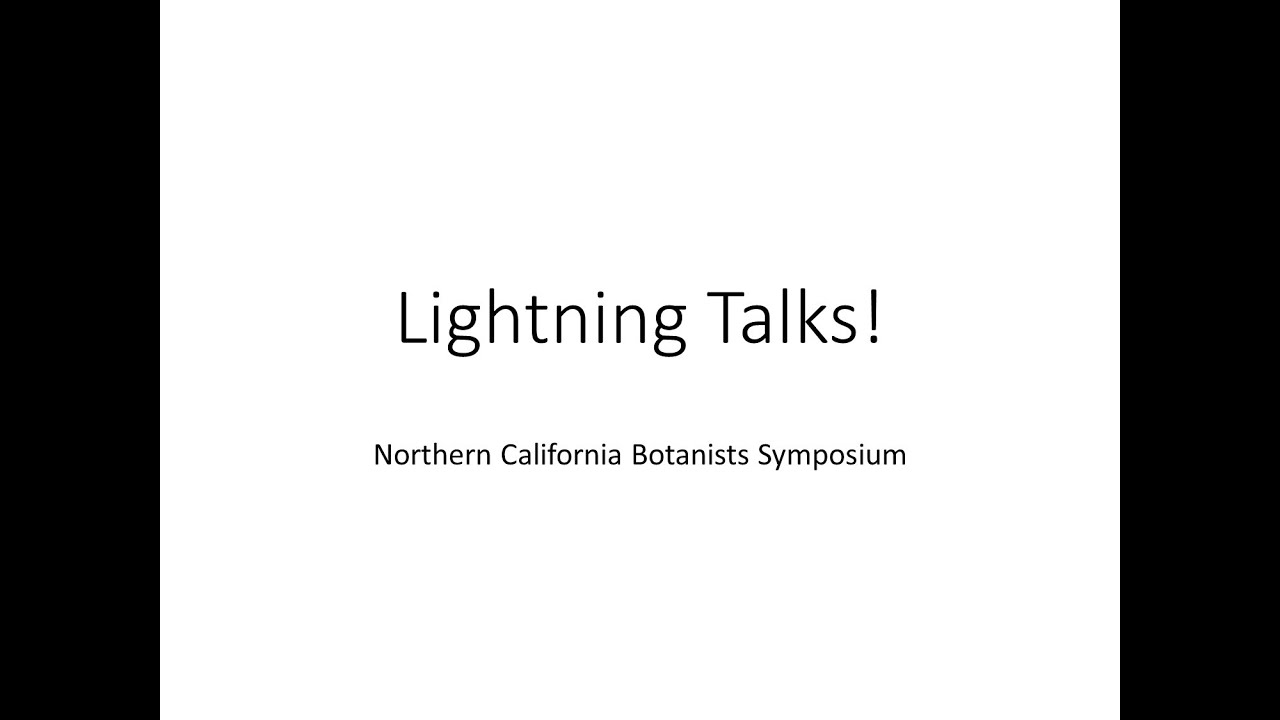 LightningTalks