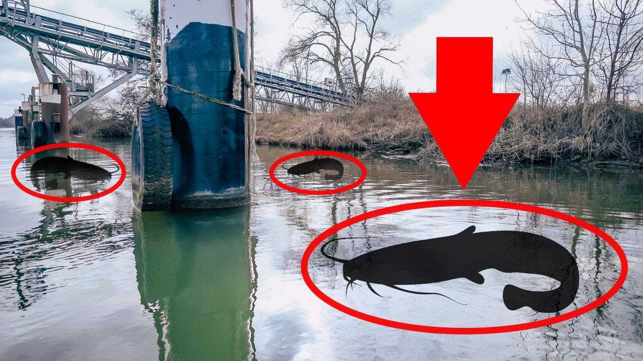 Lebt HIER der Große? UNBEKANNTER FLUSS-Abschnitt im Check