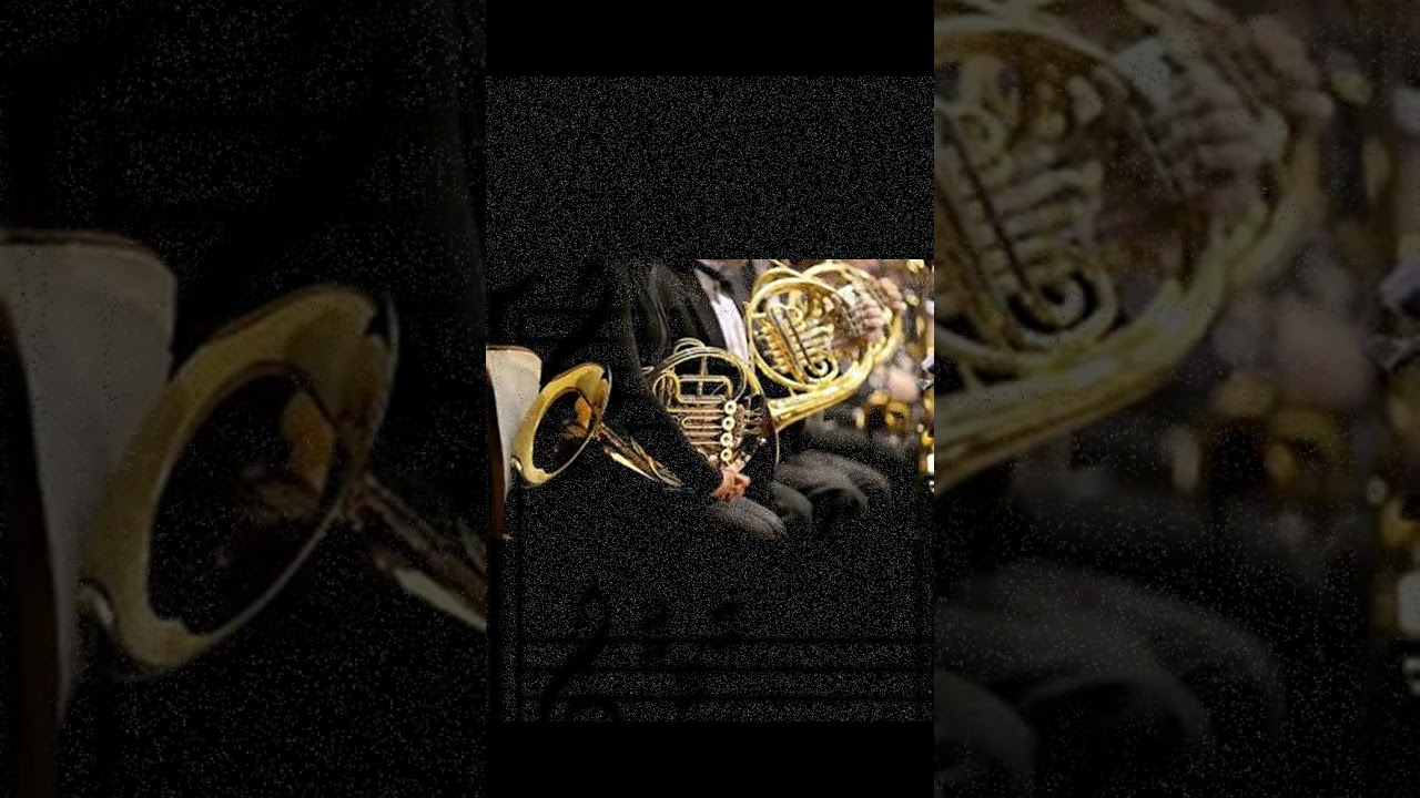Rêveries : II - Andante. Horn quartet & orchestra.