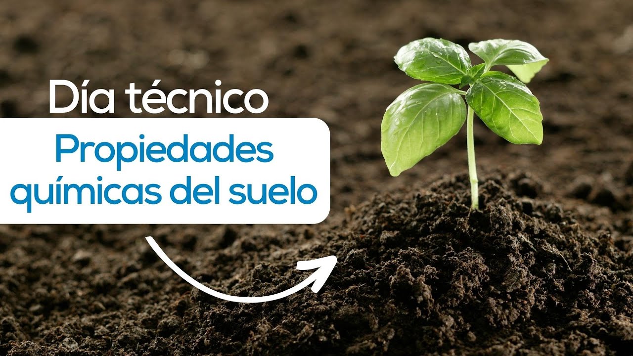 Día técnico propiedades químicas del suelo