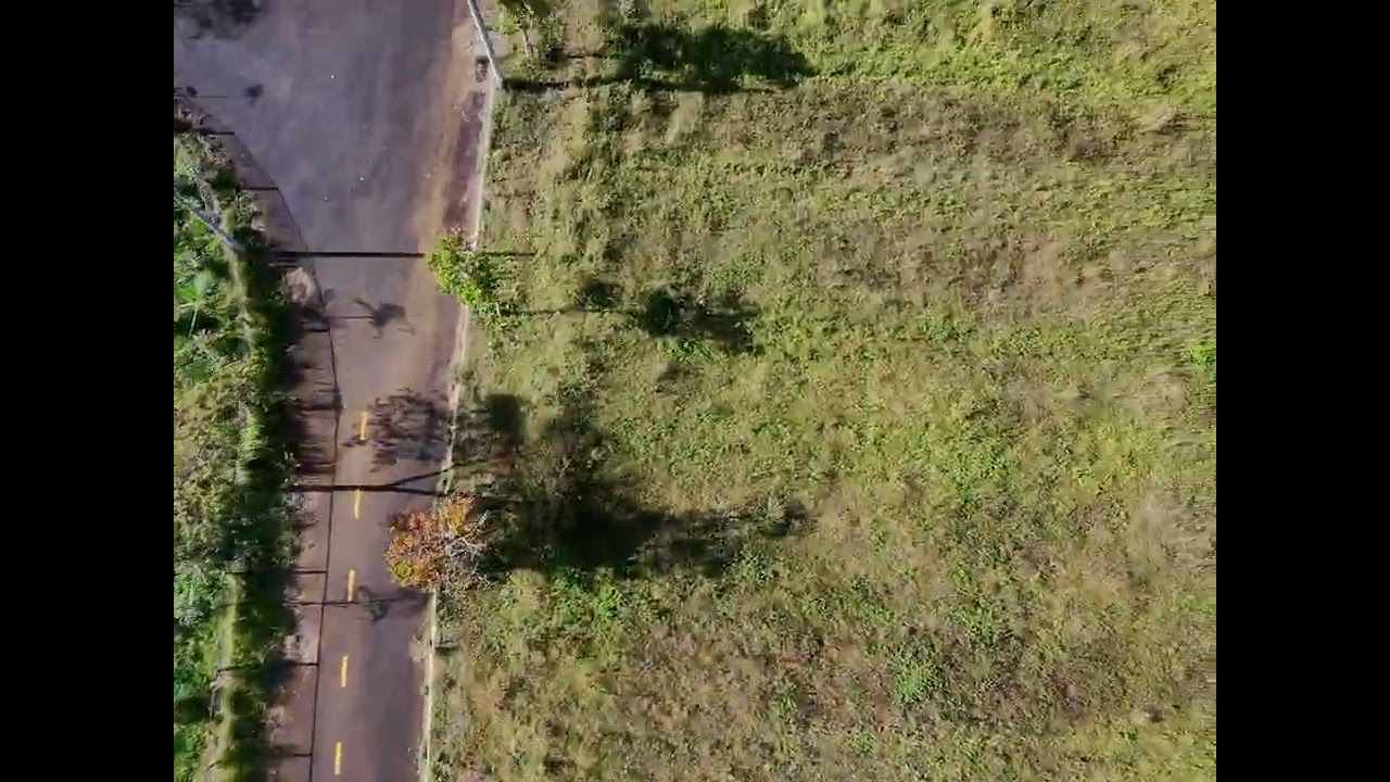 Tam Chau Farm ripping pavo 20 pro, pavo pico 2 18 Feb 26