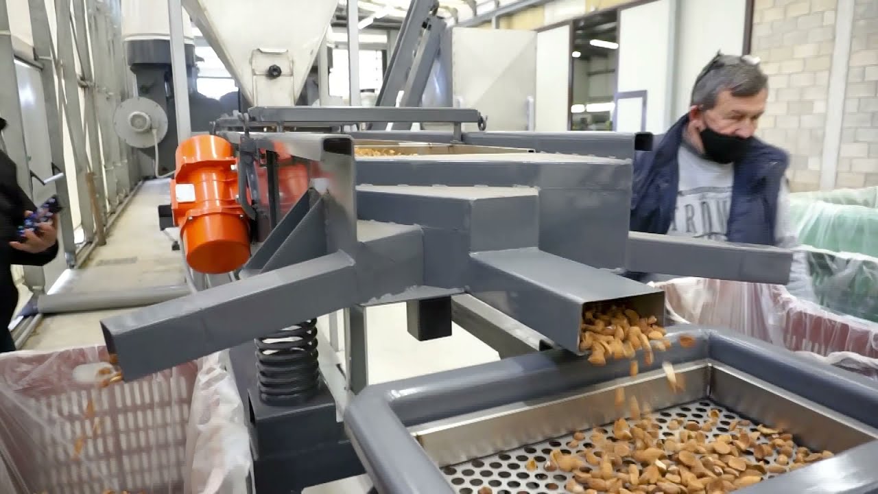 Almond shelling line - Impianto di sgusciatura mandorle - Descascarado almendras - Casserie amandes