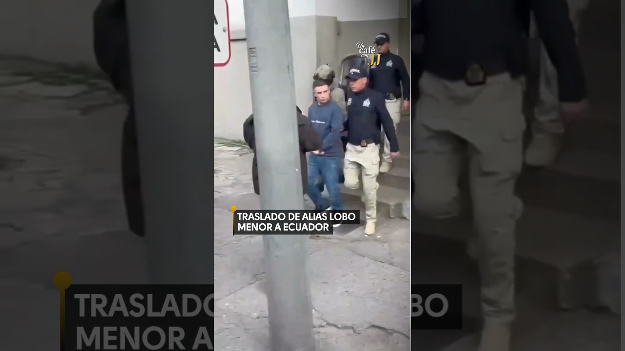Alias Lobo Menor deber&aacute; responder ante la justicia ecuatoriana, dijo Reimberg.
