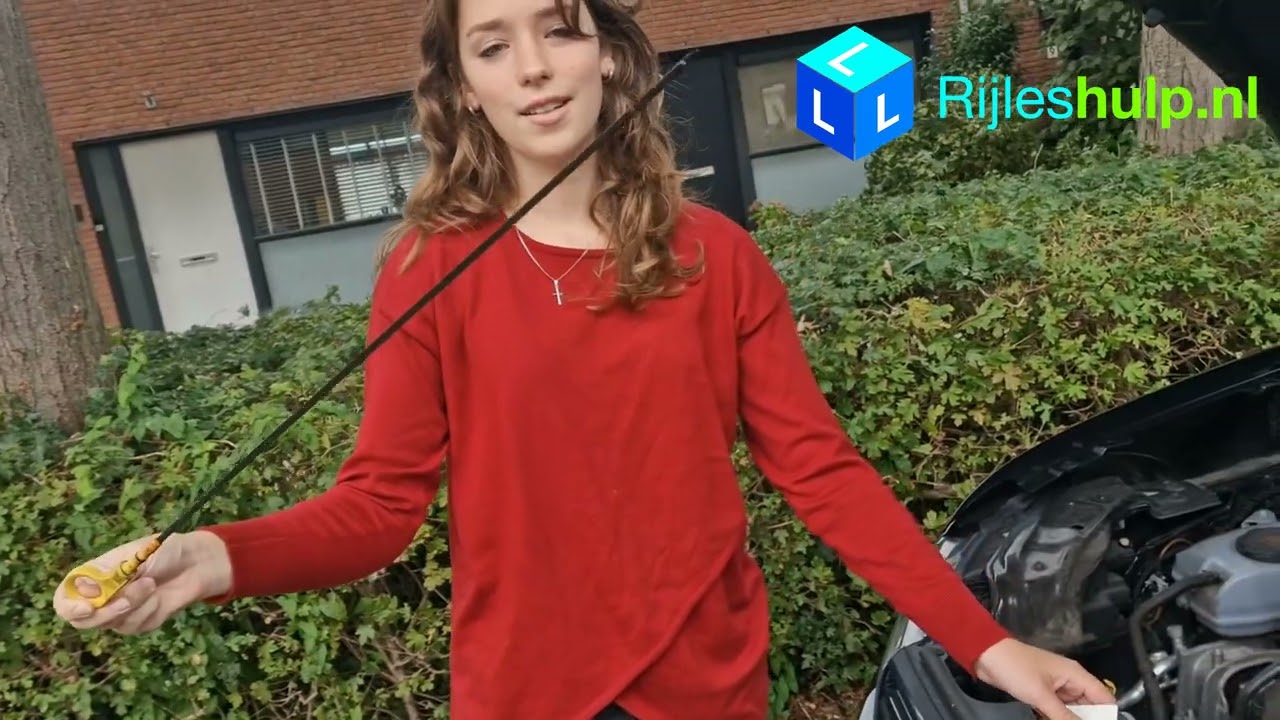 Voertuig controle buiten de auto