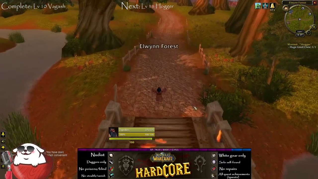 Lv 11 Nudist Rogue vs Hogger (HC WoW add-on) no stealth/poison, white daggers only