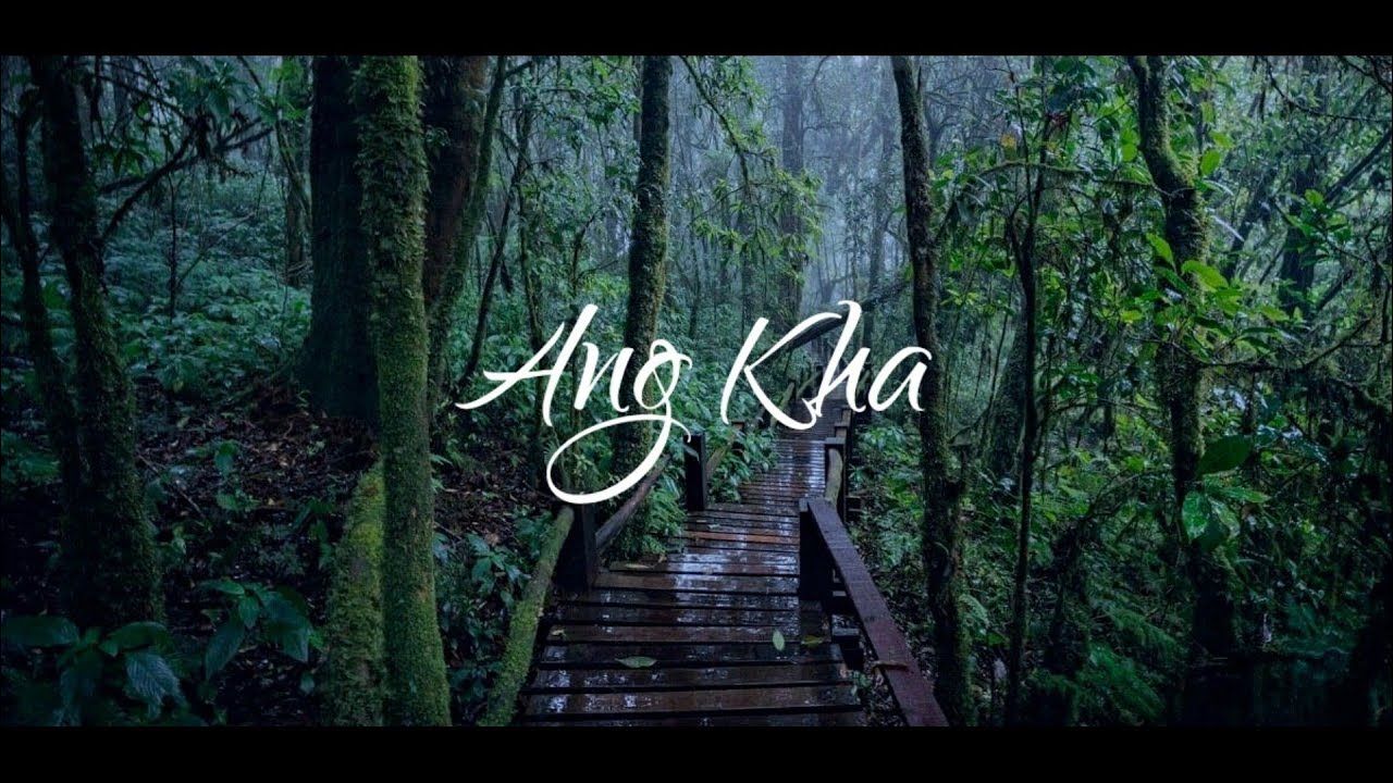 Ang Kha - The Cloud Forest [Cinematic Edition] ᴴᴰ ● อ่างกา  ดอยอินทนนท์⎮Supergenki in Thailand