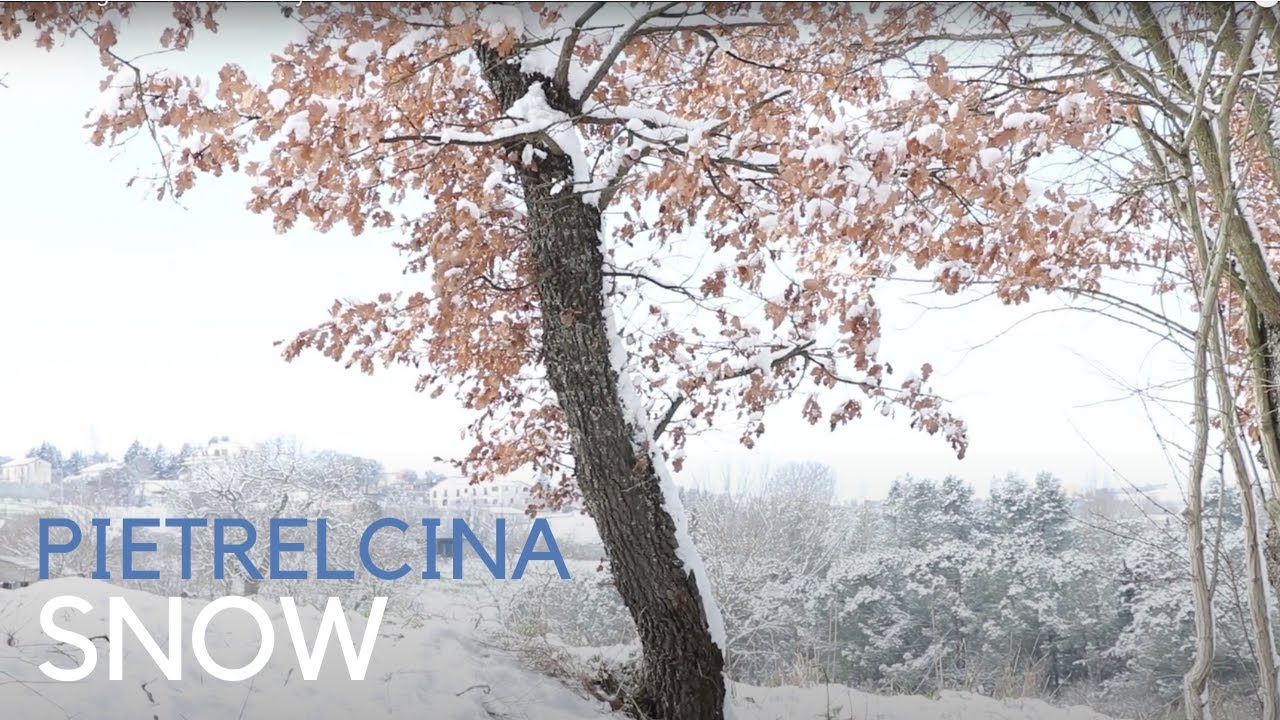 Snowy Pietrelcina