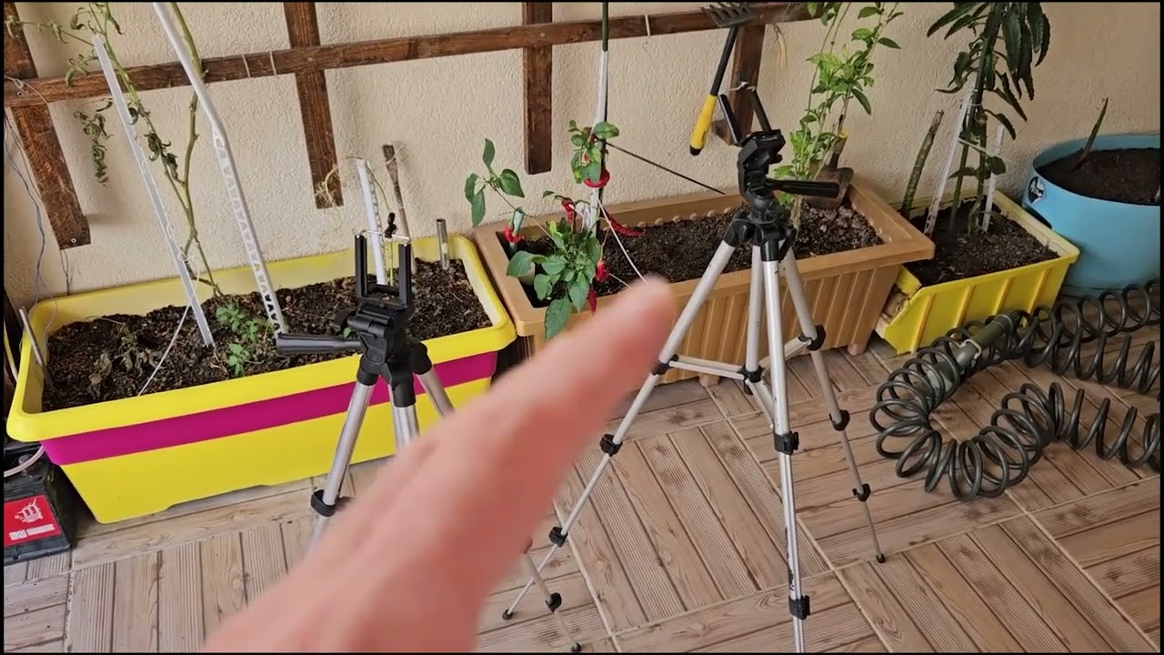 İstanbul Teknoloji Profesyonel Fotoğraf Ve Video Çekimi Tripot Telefon Tutucu Youtuber Tripodu