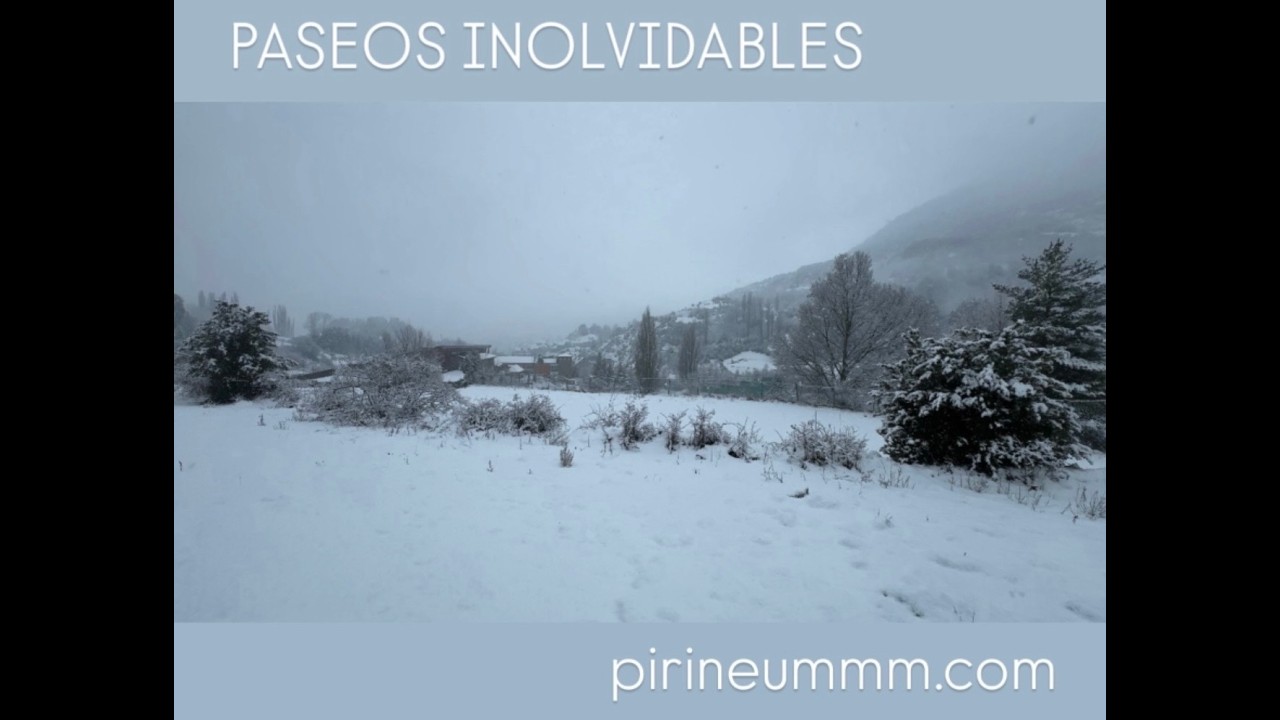 Paseos Inolvidables