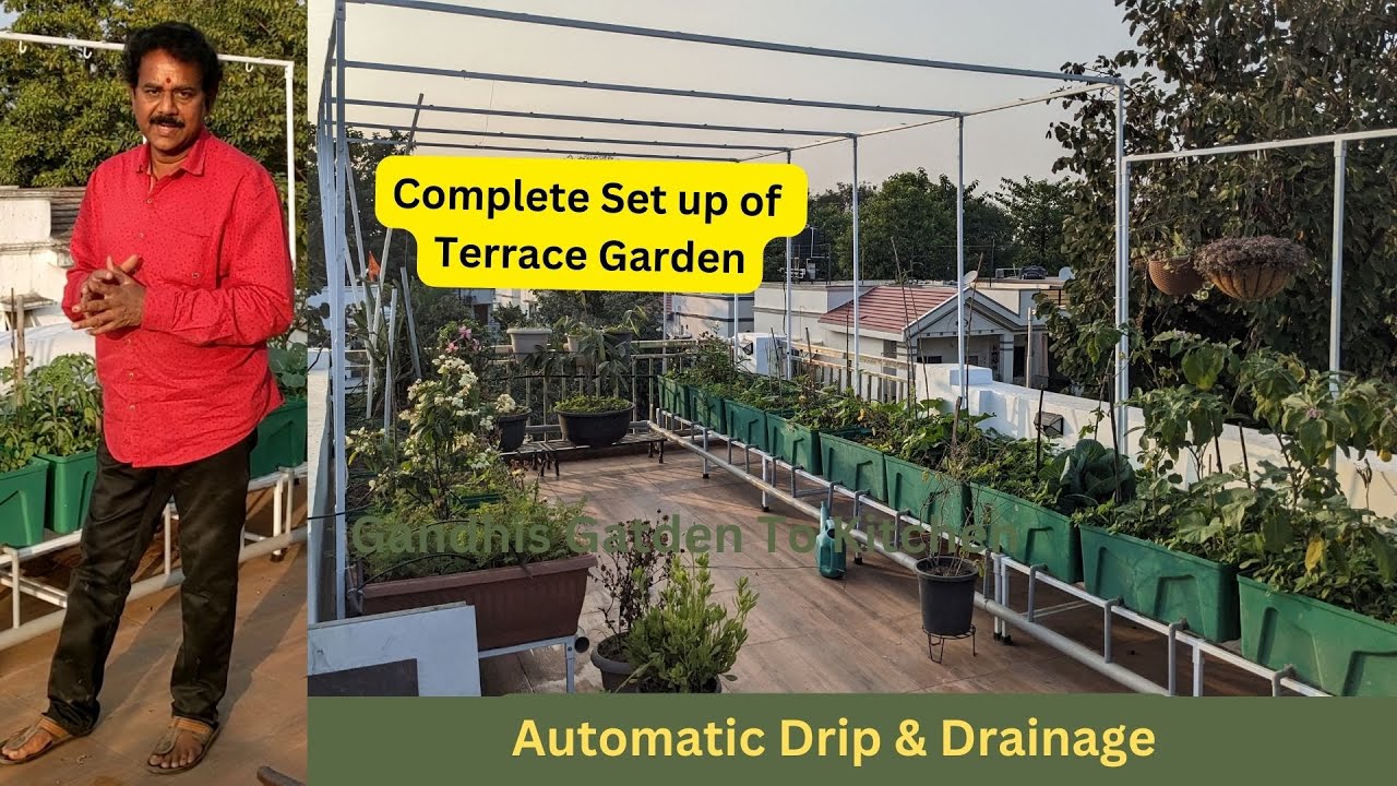Complete Terrace Garden Setup with drip system and drainage