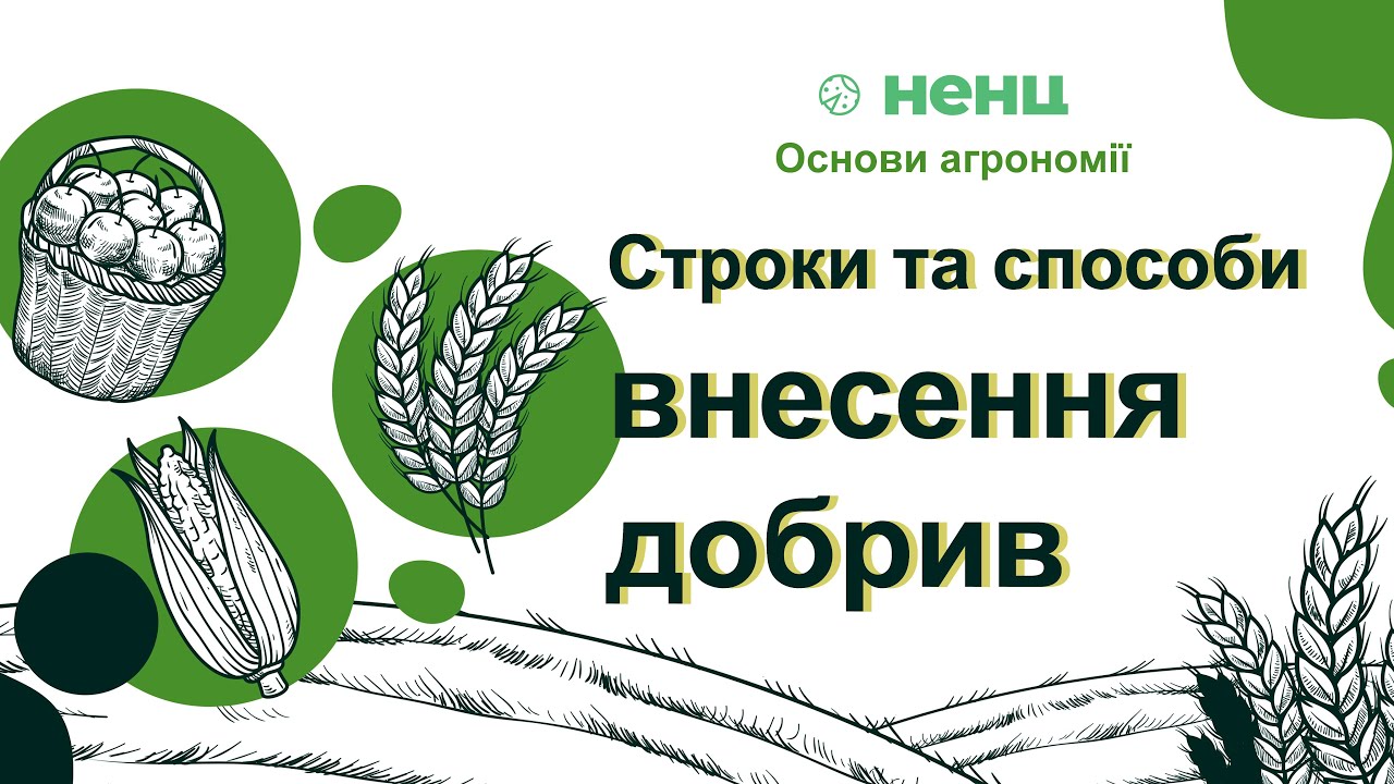 Строки та способи внесення добрив