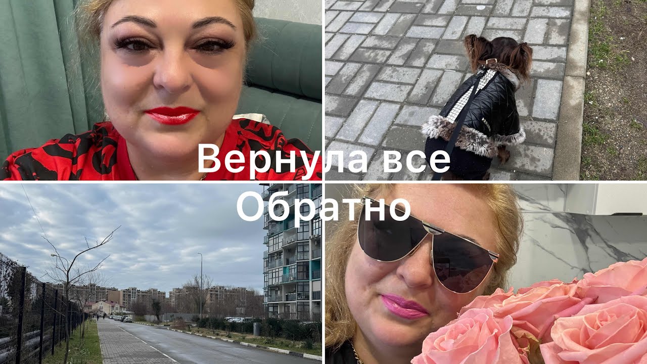 #Vlog | Вернула все обратно | Жизнь в Лазаревском Сочи #vlog #переезднаюг #жизнь #собачка #еда 