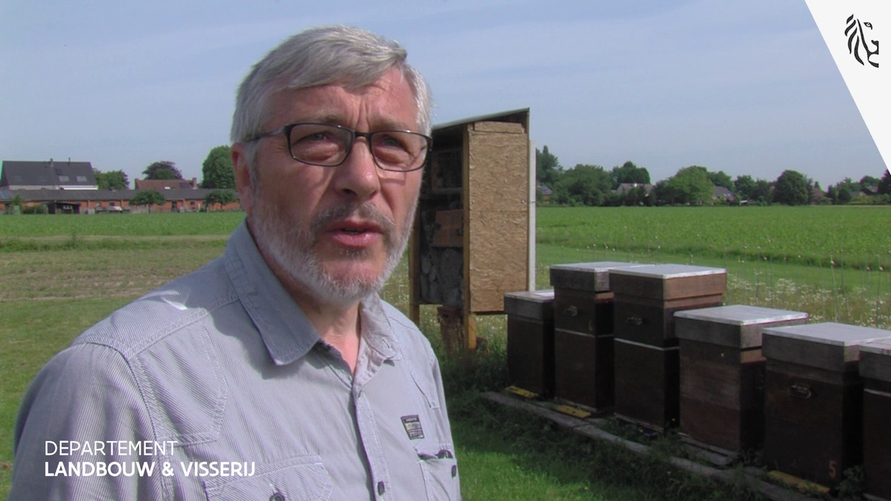 Biodiversiteit bij vlinderbloemigen