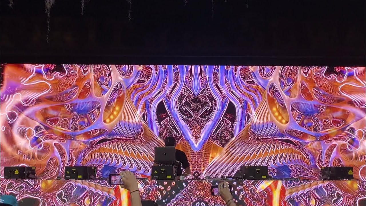 Tipper Twilight Set @ Tipper & Friends 2023 (4k)