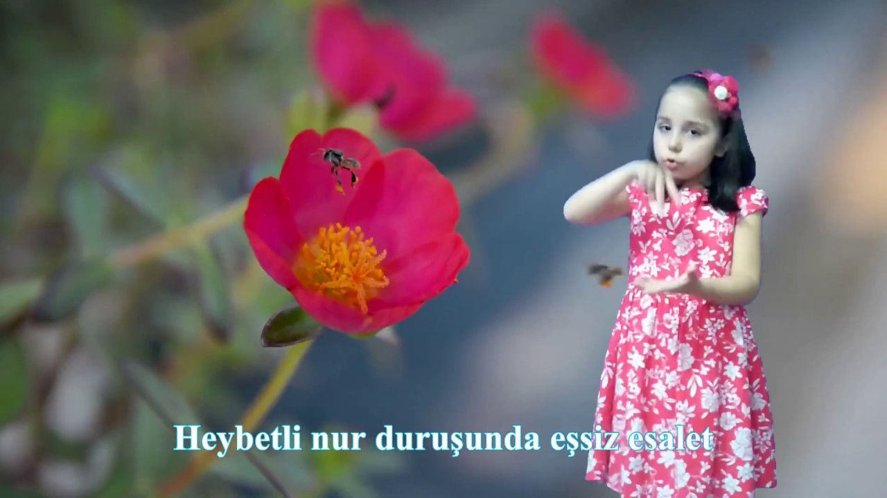 Simsiyahtır Gözleri ve Çocuk İlahileri #işaretdili