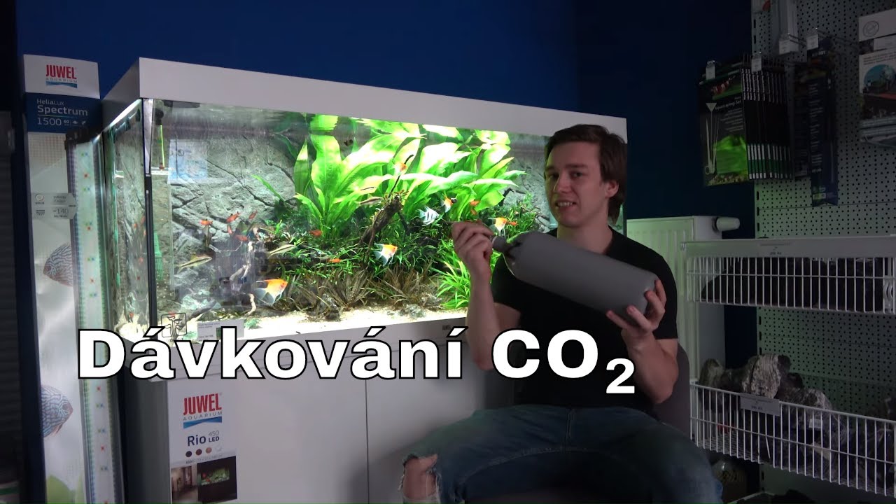 Juwel Akvarium - Proč dávkujeme CO2 do akvária a jak