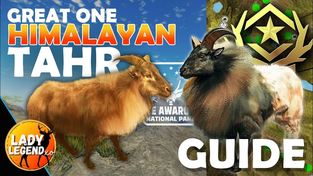 Spawn Your GREAT ONE TAHR in Te Awaroa!!! (Detailed Zone Guide)