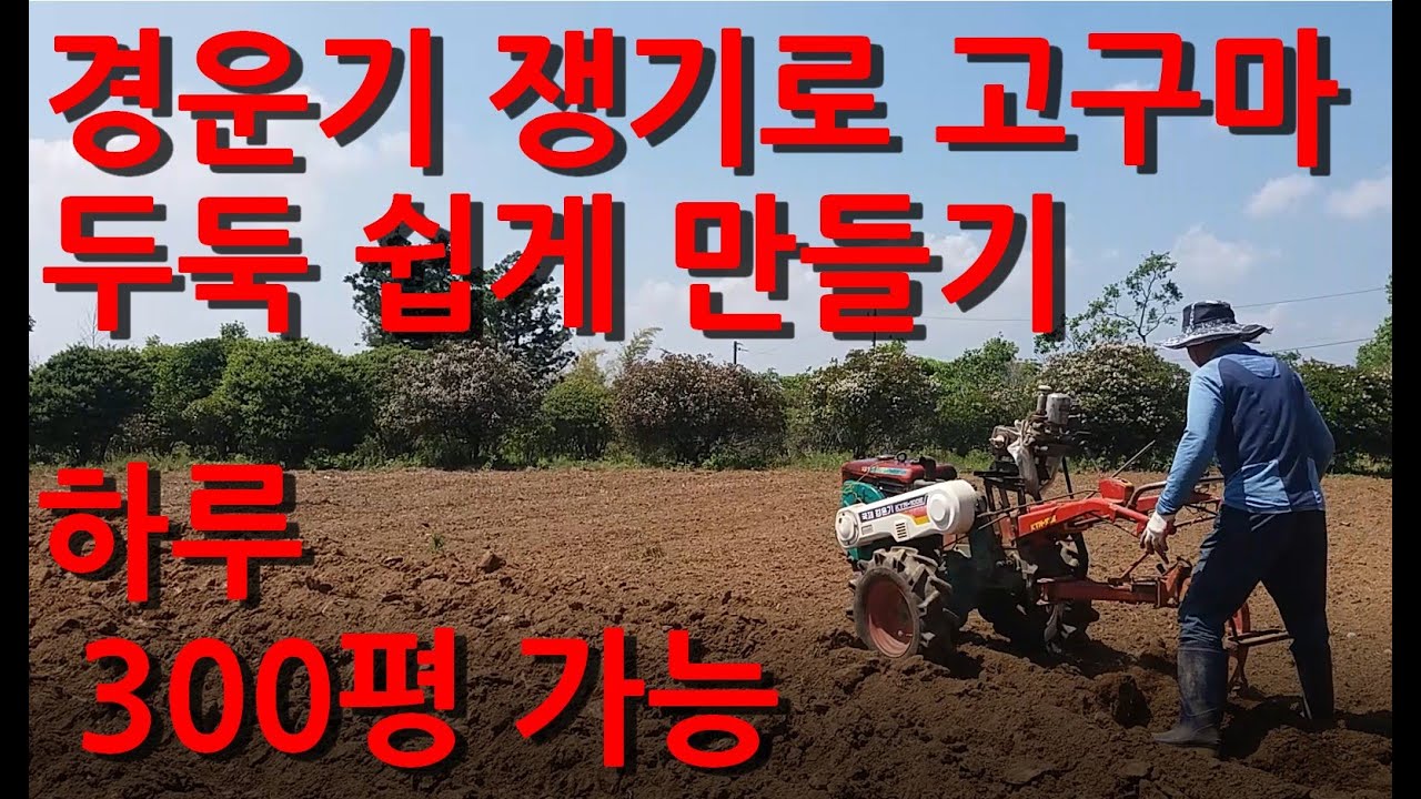 경운기 쟁기로 고구마두둑만들기