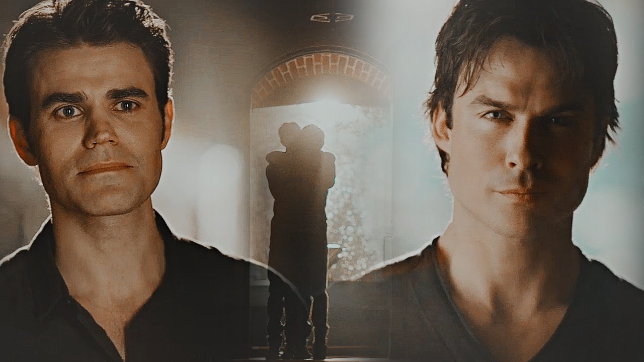 stefan & damon || brothers till the end.