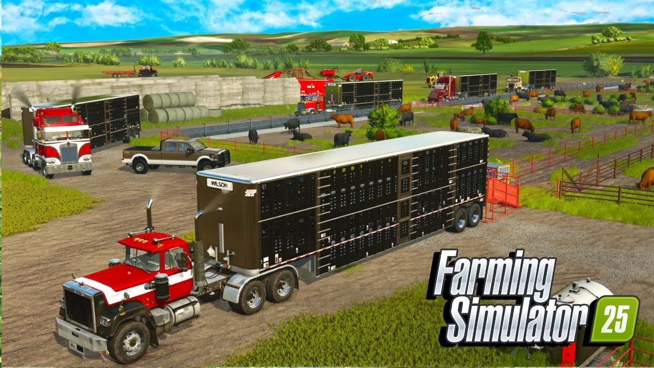Я продал мясной скот на 500 000 долларов? | Farming Simulator 25