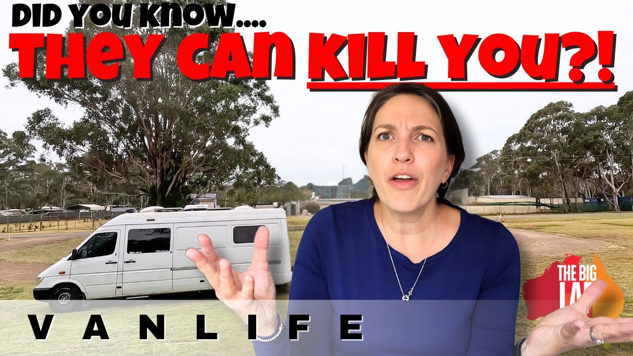 WHY WE WILL NEVER PARK LIKE THAT AGAIN!  (Blackbutt, Yarraman & Cooyar)