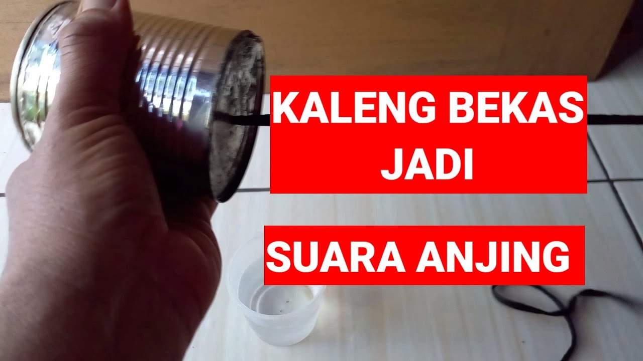 membuat suara anjing dari kaleng bekas susu di rumah