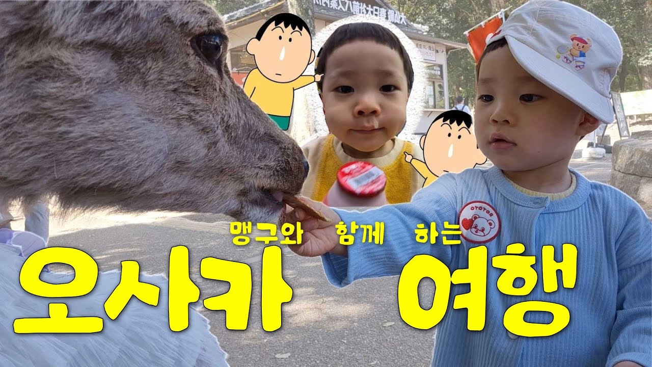 또 일본에 가셨나요? 네. / 23개월 아기와 오사카 여행 / 난바 / 나라 사슴 공원 / 육아브이로그