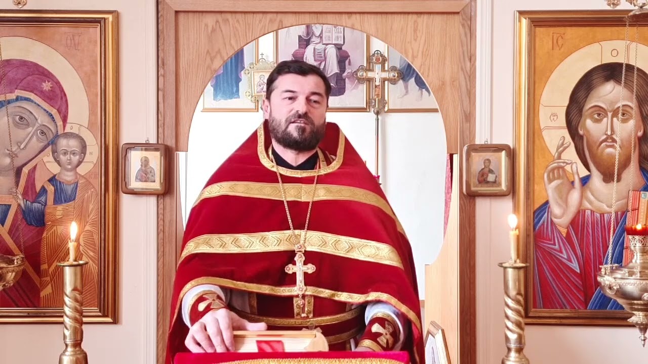 Понять, значит освободиться от прощения