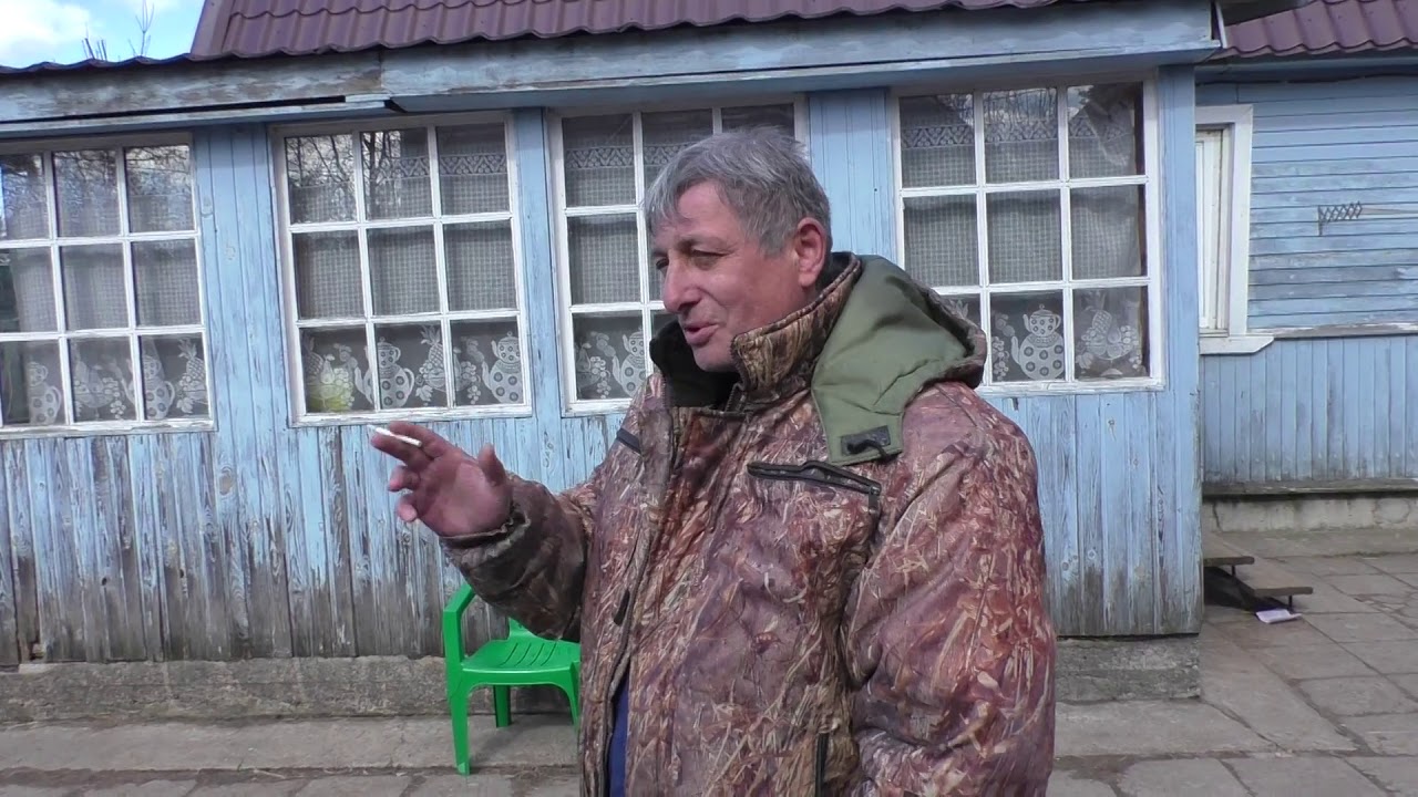 В гостях у Рафика. О болезнях голубей и причинах их появления