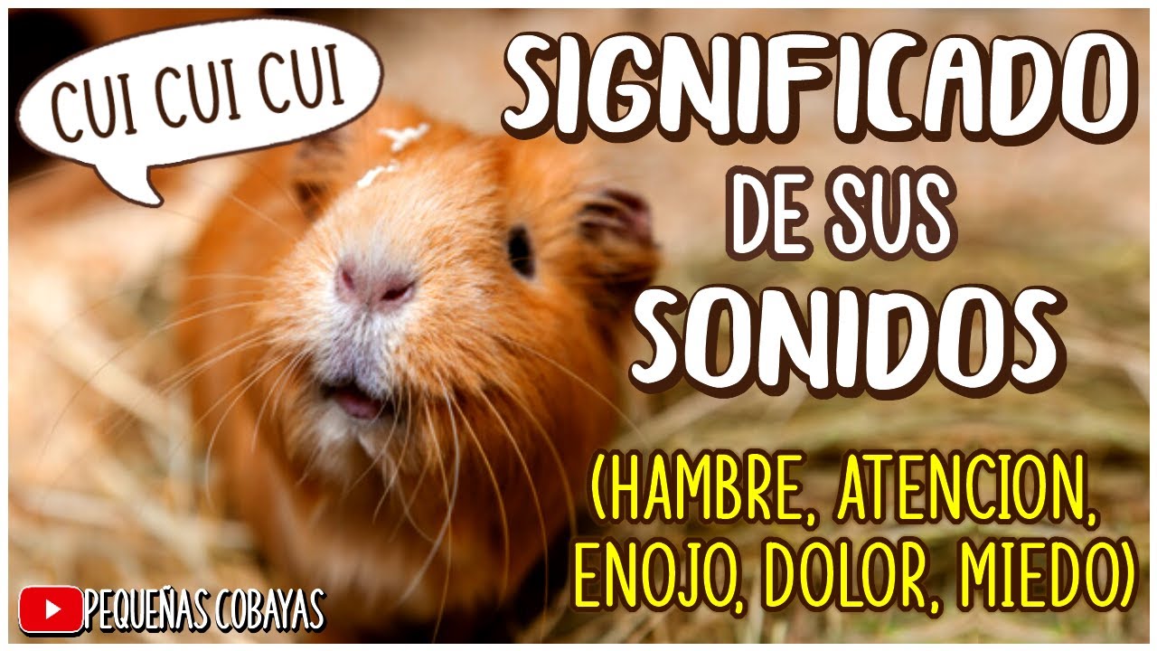 SONIDOS de los CUYOS y SU SIGNIFICADO