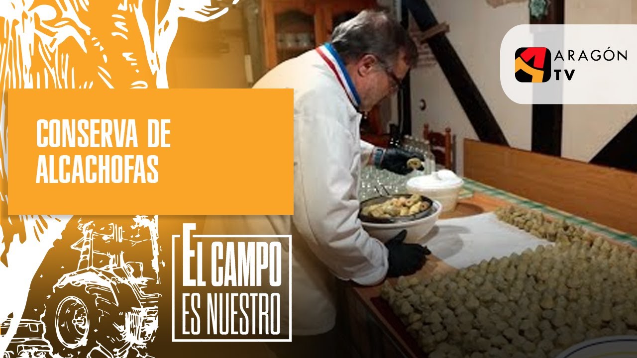 Conserva de alcachofas