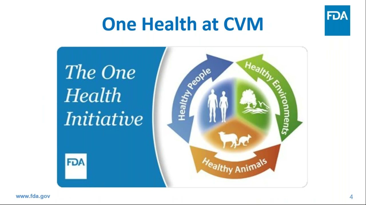 One Health at the US Food and Drug Administration's Center for Veterinary Medicine (FDA CVM)