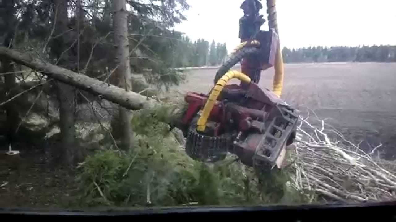 Valmet 901-88 with 942 Harvester Head - Cutting Spruce