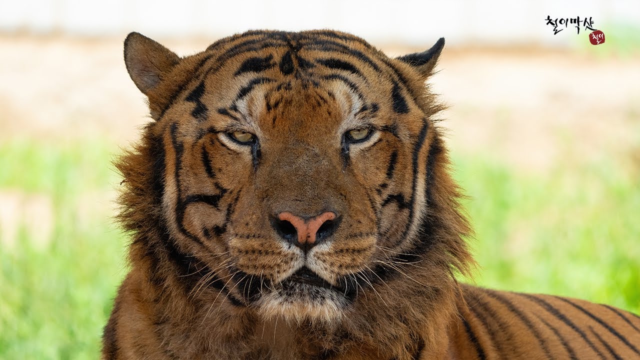 막샷#110 (달성공원 식구들 