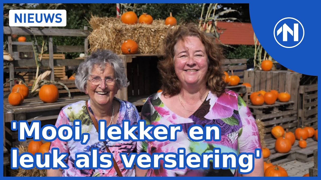 Pompoenen zijn dit jaar kleiner, maar mooier