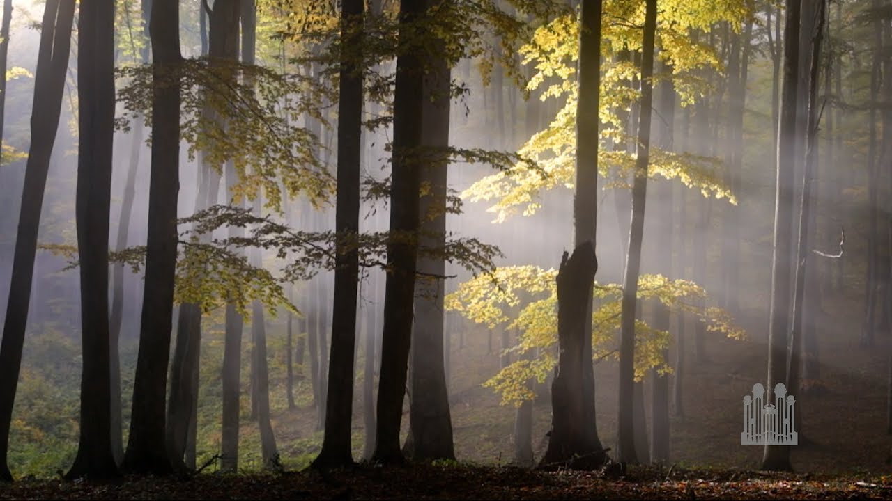 Jesu, the Very Thought Is Sweet - The Tabernacle Choir