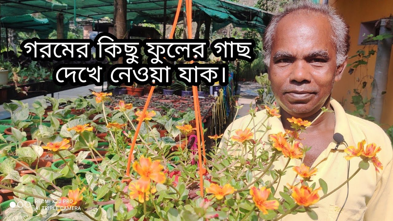 চলুন দেখে নেওয়া যাক গরমে কিছু ফুলের গাছ|@mukherjeehorticulturalfirm