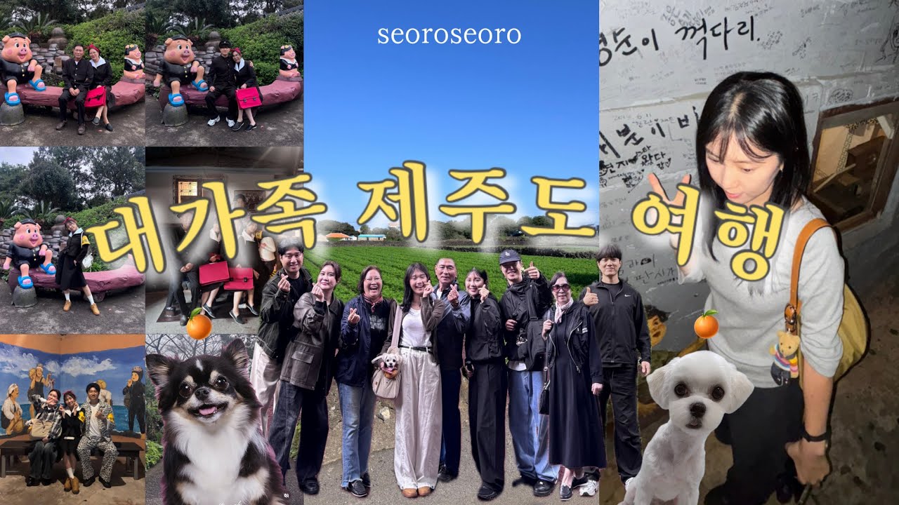 대가족 제주도 여행인데 강쥐까지🏝️🍊 I 가족 펜션 왕추천&hellip;(짱좋음) I 부모님코스? 여기루오세요 I 제주도 애견동반 I 구좌 맛집 I 제주 동쪽 코스 