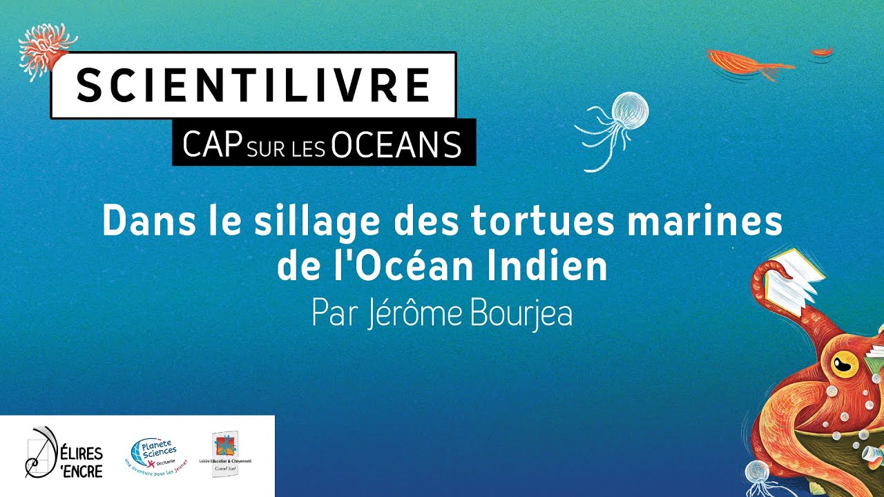 Dans le sillage des tortues marines de l’Océan Indien