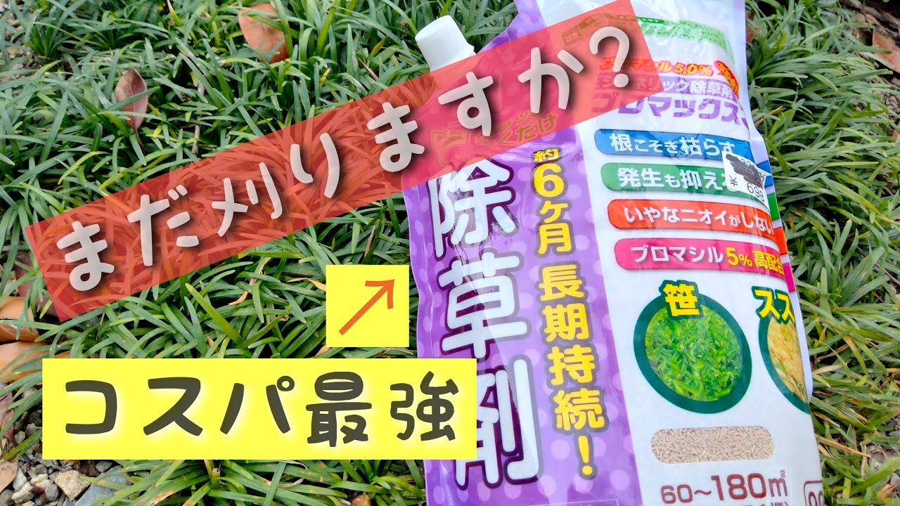 草刈不要！顆粒で初!? ジェネリック除草剤がコスパ最強でした！