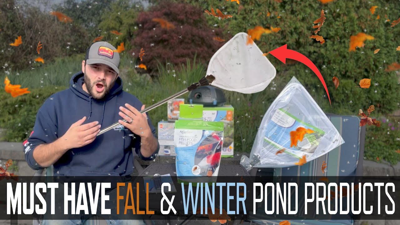 Cold Weather Pond Essentials: Fall & Winter Must-Haves