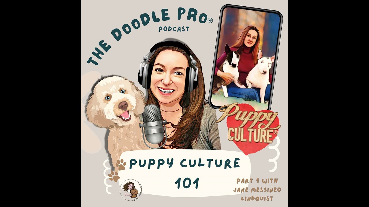 Puppy Culture 101 with Jane Messineo Lindquist: Raising Confident, Resilient Doodles from Day One