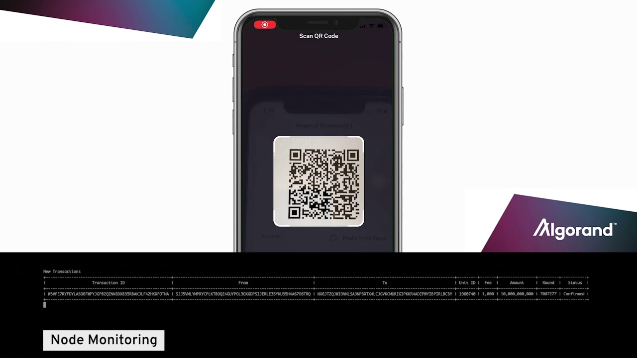 Stablecoins & NFT's on the Algorand Blockchain