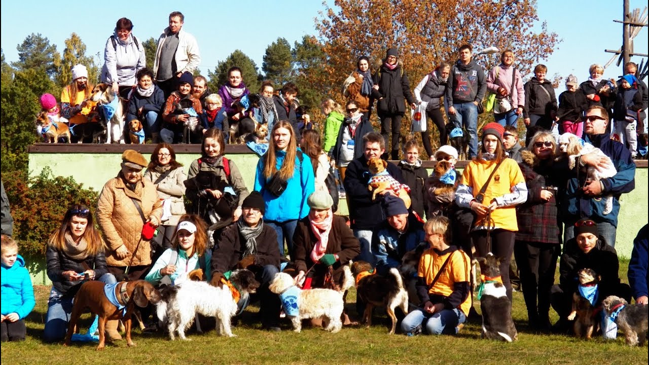 Parada Ps&oacute;w Adoptowanych - Bydgoszcz 11.10.2015