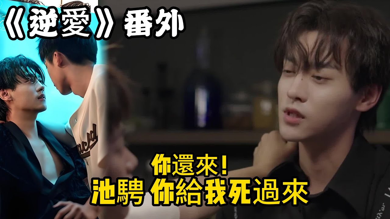 《逆愛》：番外！（82）你還來！池騁，你給我死過來？#田栩宁 #梓渝 #吴所畏 #池骋 #逆爱 #revenged