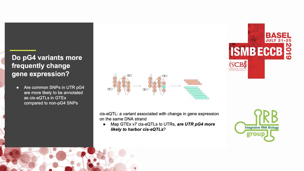 Integrative analysis of UTRs uncovers RNA G-Quadruplexes as constrained regulatory features