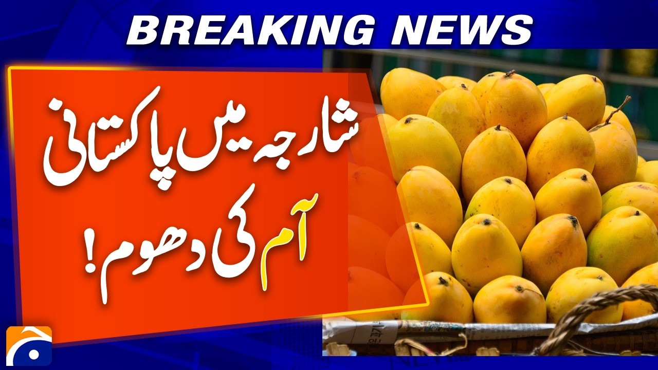 Pakistani Mangoes Make a Sweet Entry in Sharjah