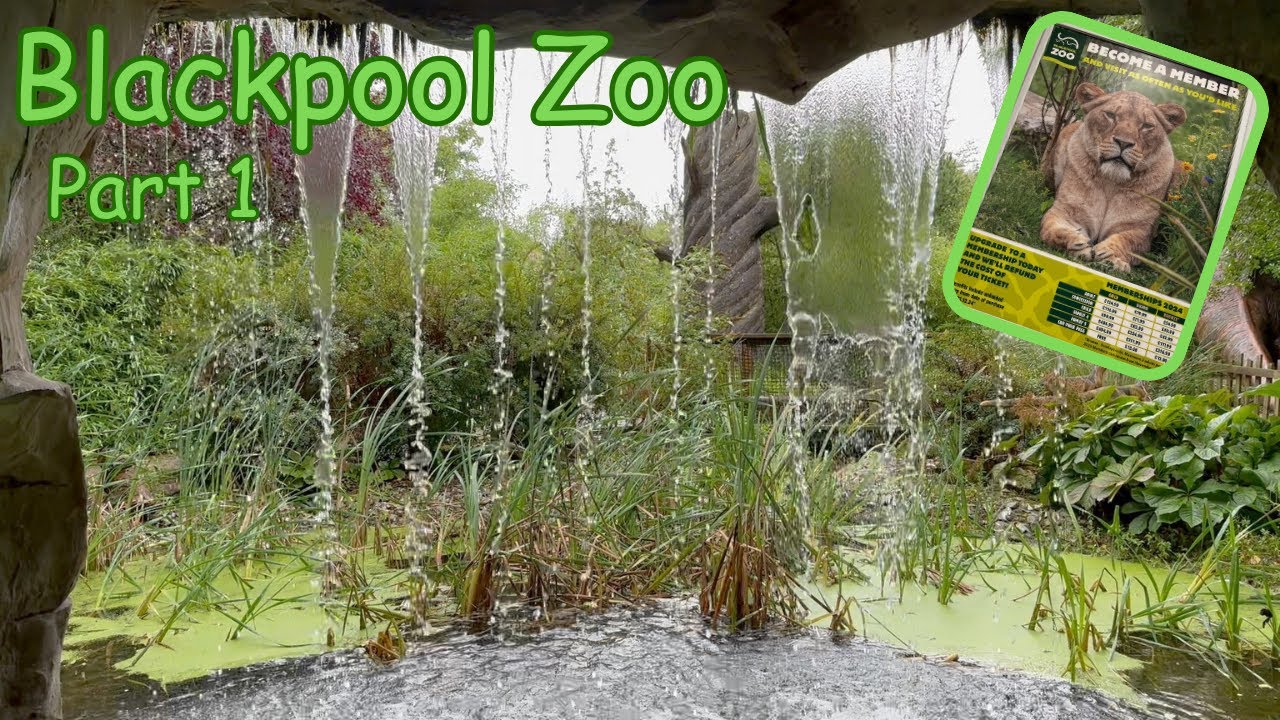 Blackpool Zoo Visit Part 1