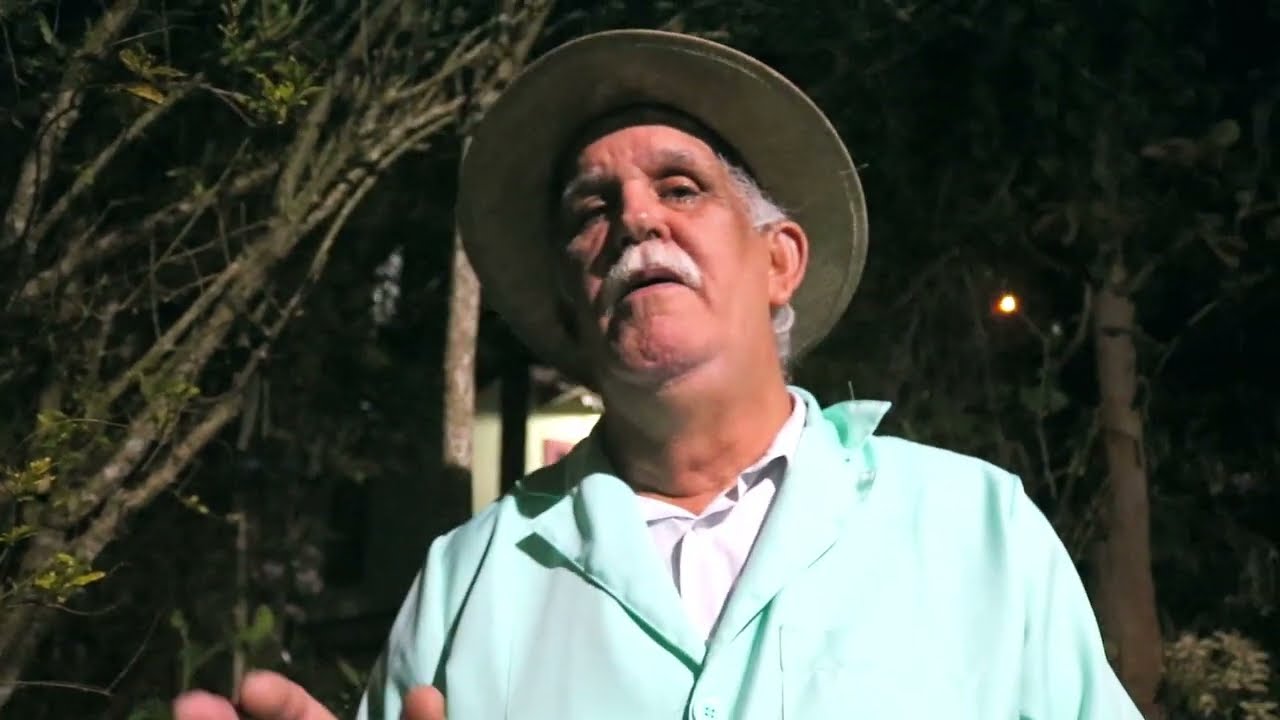 A FORÇA DA ARRUDA NA LIMPEZA DE ENERGIAS PESADAS